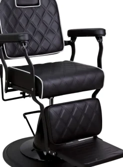 Ayala Bravo Barber Chair
