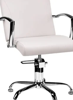 Ayala Carmen Styling Chair