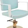 Ayala Dolly Custom Styling Chair