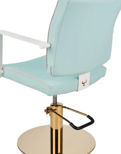 Ayala Dolly Custom Styling Chair