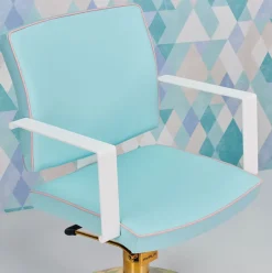 Ayala Dolly Custom Styling Chair