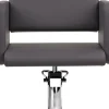 Ayala Lea Custom Styling Chair