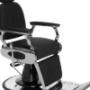 Ayala Lion Barber Chair