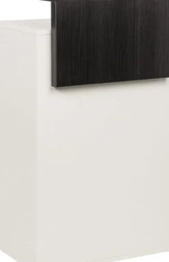 Ayala Tina Reception Desk