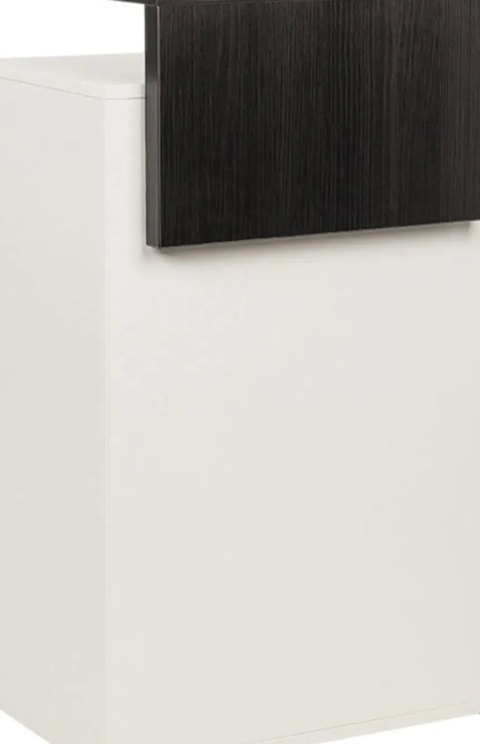 Ayala Tina Reception Desk