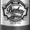 BaByliss PRO 4in1 Spray FX 150 ml