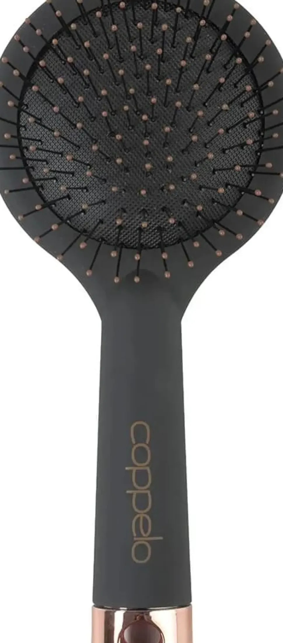 Coppelo Black Rainbow Rose Gold Large