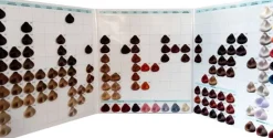 Dusy Color Creation Color Chart