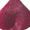 Dusy Color Injection Rubine 115 ml