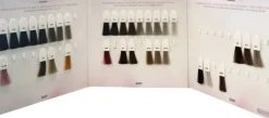 Dusy Color Shades Color Chart