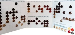 Dusy Color Spirit Color Chart