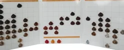 Dusy Color Spirit Color Chart (U)