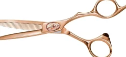 e-kwip+ Primus Pink Gold 5,5'' 40 teeth