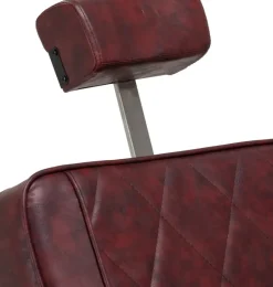 Gabbiano Barber Chair Brown BM88066B