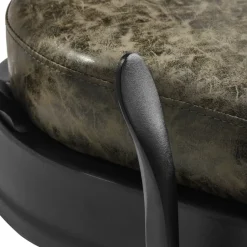 Gabbiano Barber Chair President Old Leather Green