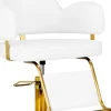 Gabbiano Hairdressing Chair Gabbiano Linz NQ Gold White