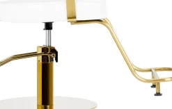 Gabbiano Hairdressing Chair Gabbiano Linz NQ Gold White