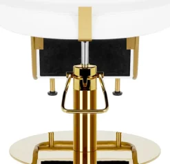 Gabbiano Hairdressing Chair Gabbiano Linz NQ Gold White
