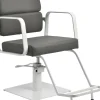 Gabbiano Hairdressing Chair Porto White Gray