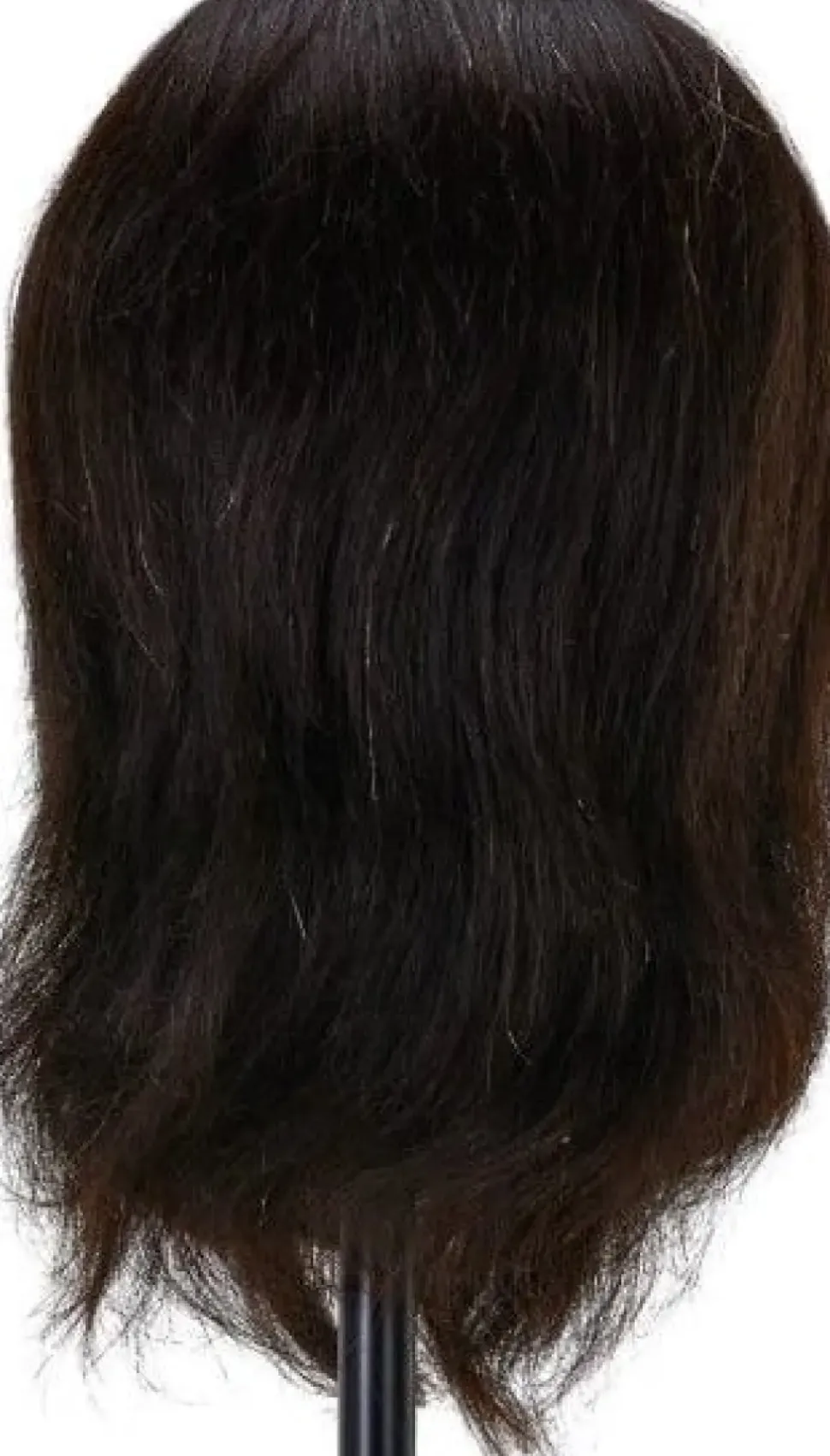 Gabbiano WZ4 Training Head With Beard Natural Hair - 21 cm