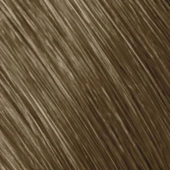 Goldwell Topchic 8SB Silver Blonde 60 ml