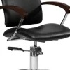 Hairway Styling Chair "Augusta"