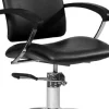 Hairway Styling Chair "Augusta"