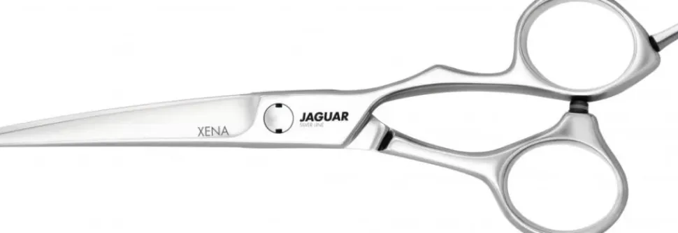 Jaguar Xena Silver Line 6"