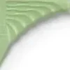 JRL Professional - Pin tail comb 8,8" Light green