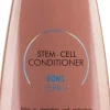 Morfose Niche Stem Cell Bond Repair Conditioner 1000 ml