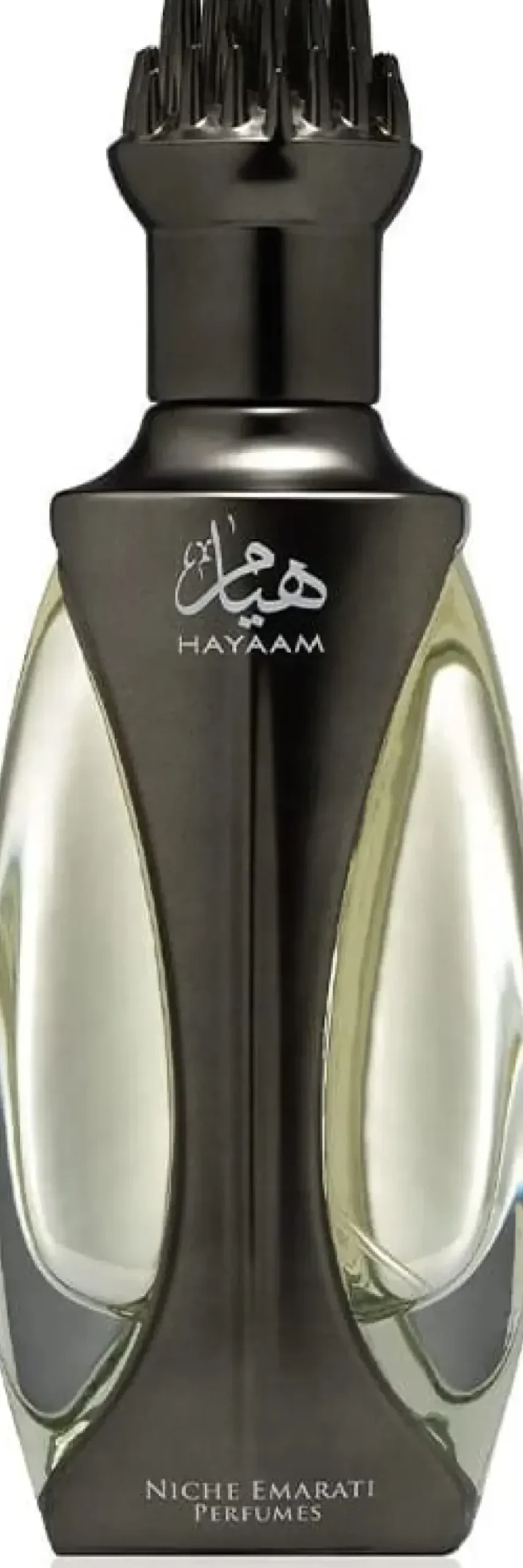 Niche Emarati Hayaam Men EDP 100 ml