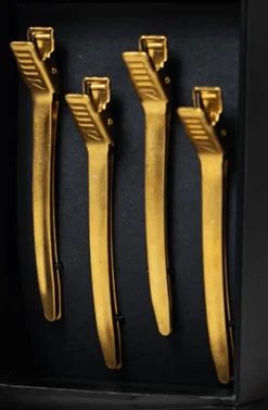 Rovra Set 4 Pcs Hair Clips - Gold