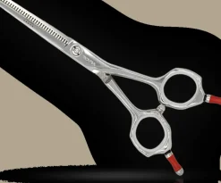 Rovra Set Scissors Student 5.5