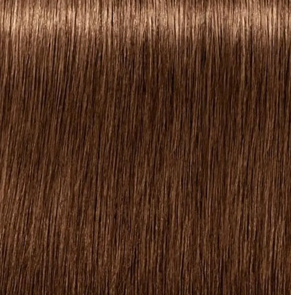 Schwarzkopf Igora Royal Absolutes 6-60 Dark Blonde Auburn Natural - 60 ml