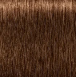 Schwarzkopf Igora Royal Absolutes 6-460 Dark Blonde Beige Chocolate - 60 ml