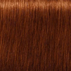 Schwarzkopf Igora Royal Absolutes 6-70 Dark Blonde Copper Natural - 60 ml