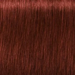 Schwarzkopf Igora Royal Absolutes 6-80 Dark Blonde Red Natural - 60 ml