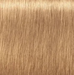 Schwarzkopf Igora Royal Absolutes 9-560 Extra Light Blonde Gold Chocolate - 60 ml