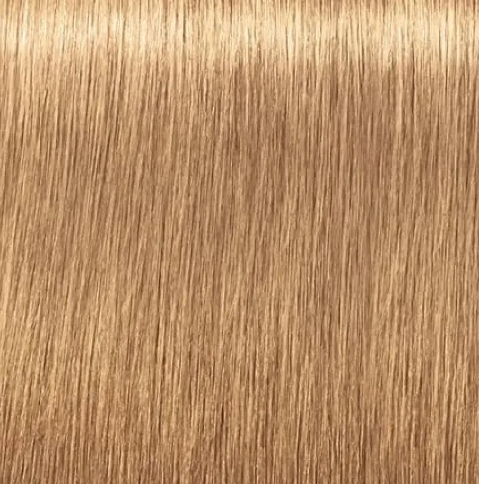 Schwarzkopf Igora Royal Absolutes 9-560 Extra Light Blonde Gold Chocolate - 60 ml