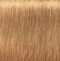 Schwarzkopf Igora Royal Absolutes 9-50 Extra Light Blonde Gold Natural - 60 ml