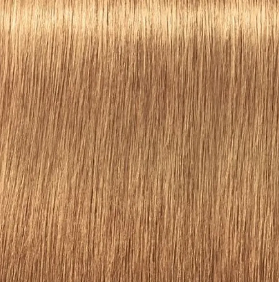 Schwarzkopf Igora Royal Absolutes 9-50 Extra Light Blonde Gold Natural - 60 ml