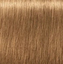 Schwarzkopf Igora Royal Absolutes 8-50 Light Blonde Gold Natural - 60 ml
