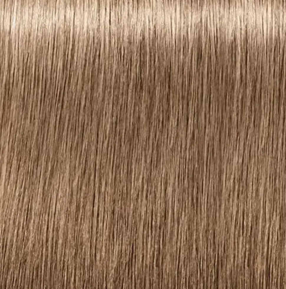 Schwarzkopf Igora Royal Absolutes 8-01 Light Blonde Natural Cendré - 60 ml