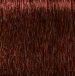 Schwarzkopf Igora Royal Absolutes 5-80 Light Brown Red Natural - 60 ml