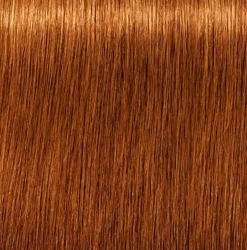 Schwarzkopf Igora Royal Absolutes 7-70 Medium Blonde Copper Natural - 60 ml