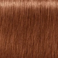 Schwarzkopf Igora Royal Absolutes 7-560 Medium Blonde Gold Chocolate - 60 ml
