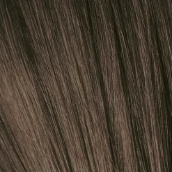 Schwarzkopf Igora Royal 6-1 Dark Brown Cendre - 60 ml