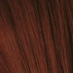 Schwarzkopf Igora Royal 4-88 Medium Brown Red Extra - 60 ml
