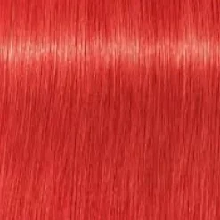 Schwarzkopf Igora Royal Mix 0-88 Red Concentrate - 60 ml