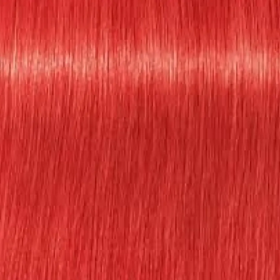 Schwarzkopf Igora Royal Mix 0-88 Red Concentrate - 60 ml
